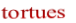 tortues
